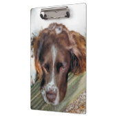 SPANIEL DOG KLEMBORD (Links)