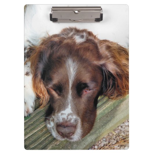 SPANIEL DOG KLEMBORD (Voorkant)