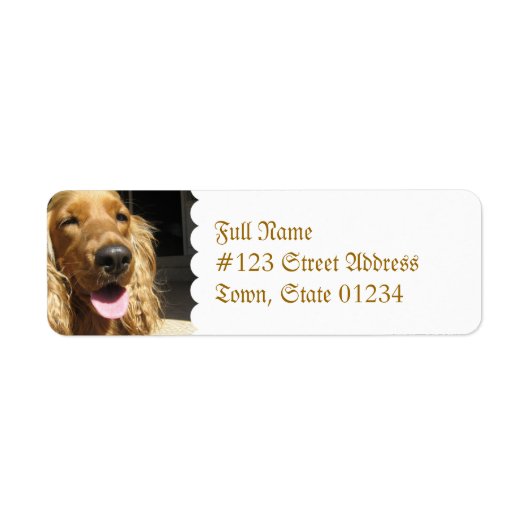 Spaniel Dog Mailing Label (Voorkant)