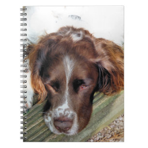 SPANIEL DOG NOTITIEBOEK