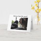 SPANIEL EN HAVANEES ZEGGEN VOORAFGAAND AAN U KAART (Gele Bloem)