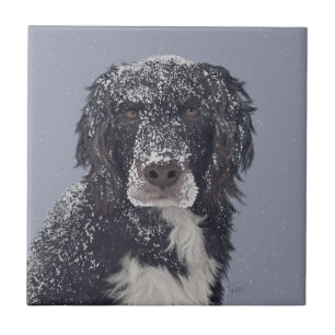 Spaniel hond gemengd huisdier portret tegeltje
