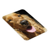 Spaniel Hond Premium Magneet (Rechterzijde)