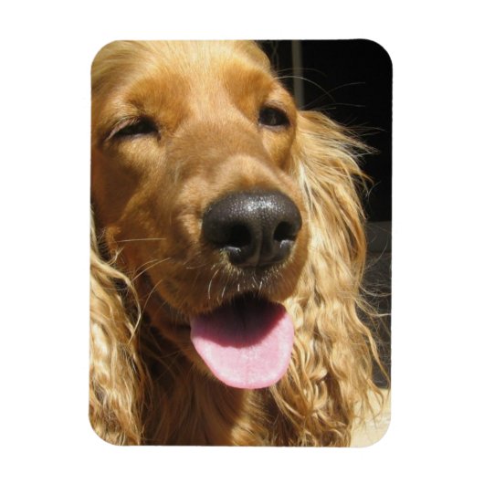 Spaniel Hond Premium Magneet (Verticaal)