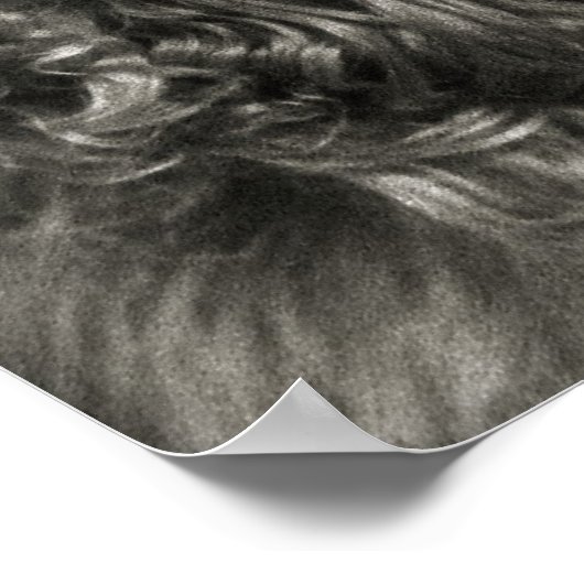 Spaniel met een dekmantel poster (Hoek)