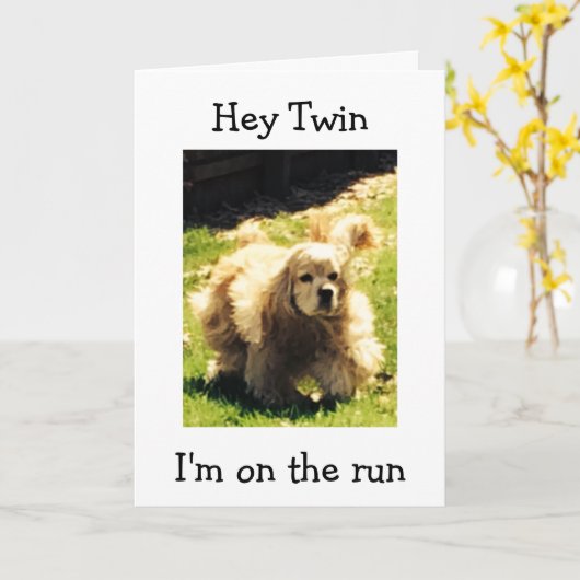 SPANIEL OP DE RUN-HAPPY VERJAARDAG TWEELING KAART (Gele Bloem)