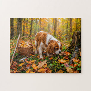 Spaniel paddenstoelen zoeken in herfstbos legpuzzel