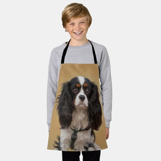 SPANIEL SCHORT (Gedragen)