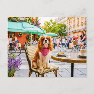 Spaniel staduitstap bij terras briefkaart