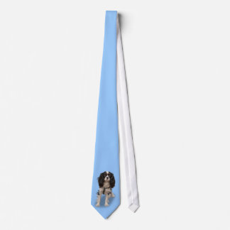 SPANIEL STROPDAS