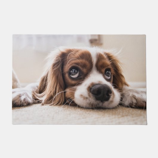 Spaniel van de Cavalier-koning Deurmat (Voorkant)