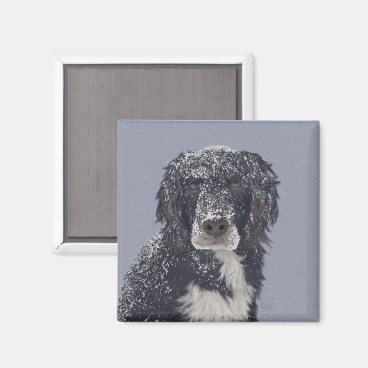 Spanielhond mengt huisdier portret magneet (Voorkant / Achterkant)