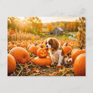 Spanielpuppy in herfst pompoenveld briefkaart