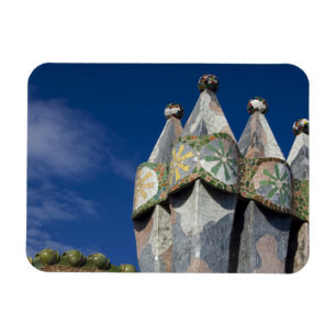 Spanje, Catalonië, Barcelona. Casa Batllo (1906). Magneet