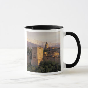 Spanje, Granada, Andalusië De Alhambra, Mok