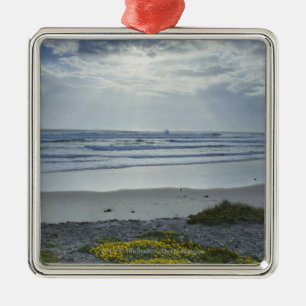 Spanje kust met Gele Bloemen en Sun Beams Metalen Ornament