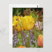 Spanningsbloemen Briefkaart (Voorkant / Achterkant)