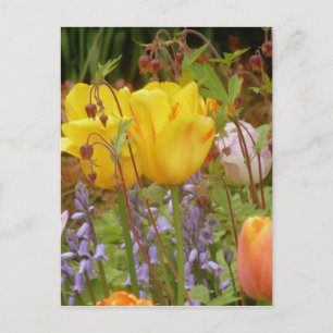 Spanningsbloemen Briefkaart