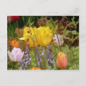 Spanningsbloemen Briefkaart (Voorkant)