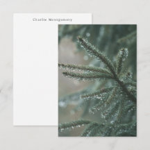 Sparboom - seizoensgebonden winter aangepaste naa