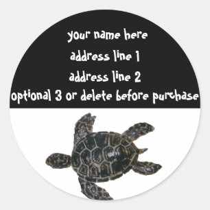 Sparen de Adresetiketten van de Schildpadden Ronde Sticker