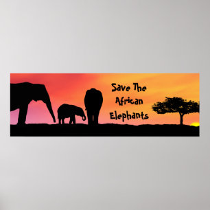Sparen de Afrikaanse olifanten Poster