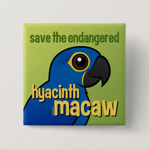 Sparen de bedreigde Hyacinth Macaw Vierkante Button 5,1 Cm