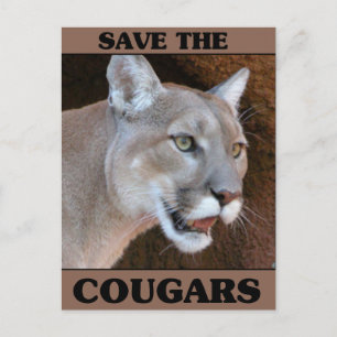 Sparen de Cougar Briefkaart