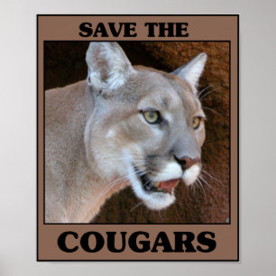 Sparen de Cougar Poster