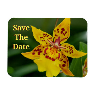 Sparen de Datum Gele Orchid Magnet Magneet