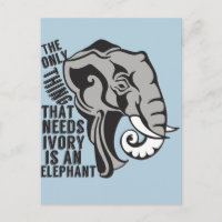 Sparen de Elephants Ban Trophy Hunting