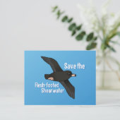Sparen de Flesh-footed Shearwater Briefkaart (Staand voorkant)