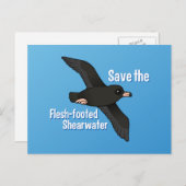Sparen de Flesh-footed Shearwater Briefkaart (Voorkant / Achterkant)