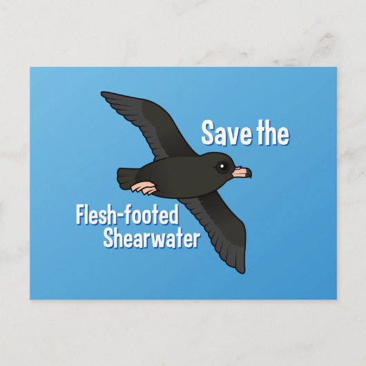 Sparen de Flesh-footed Shearwater Briefkaart (Voorkant)