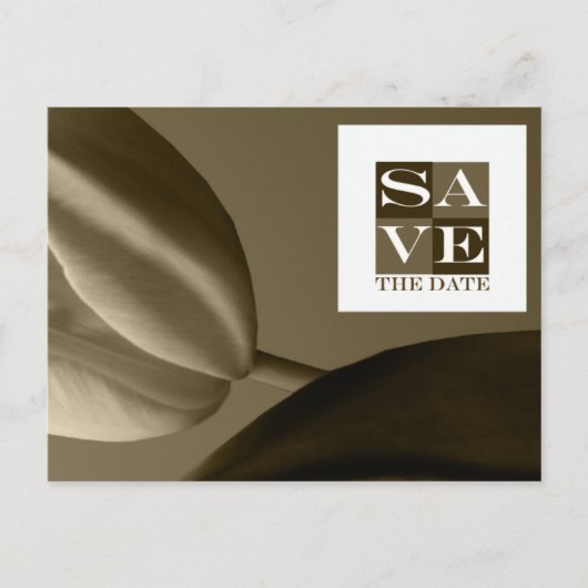 Sparen de Gebeurtenis van de Datum en het Briefkaa Aankondigingskaart (Voorkant)