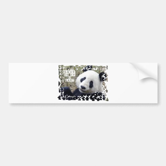 Sparen de Giant Panda Bumpersticker (Voorkant)