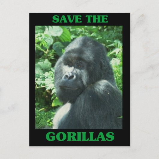 Sparen de Gorillas Briefkaart (Voorkant)