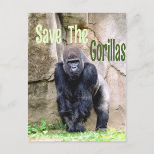 Sparen de Gorillas Briefkaart
