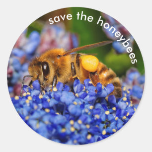 Sparen de Honeybees die Californië Lila bestuiven Ronde Sticker