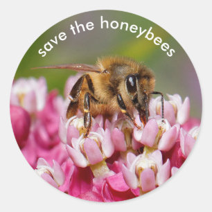 Sparen de Honeybees die Narrowleaf Milkweed bestui Ronde Sticker