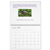 Sparen de Kalender van Butterflies 2023 (Jan 2027)