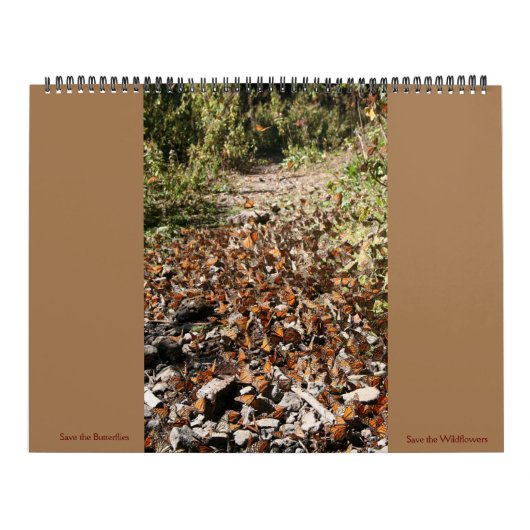 Sparen de Kalender van Butterflies 2023 (Hoes)