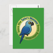 Sparen de Macaw van Spix van Uitsterven Briefkaart (Voorkant / Achterkant)