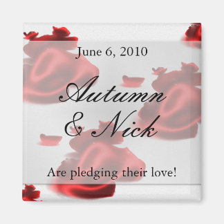 Sparen de magneet van de Datum