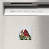 Sparen de Magnet van de Datum Magneet (Insitu (Vaatwasser))