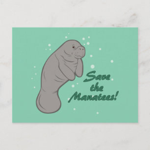 Sparen de Manatees! Briefkaart