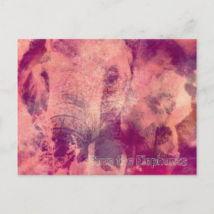 Sparen de Olephants Briefkaart