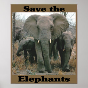 Sparen de Olephants Poster