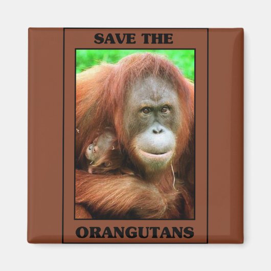 Sparen de Orangutans Magneet (Voorkant)