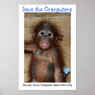 Sparen de Orangutans Poster